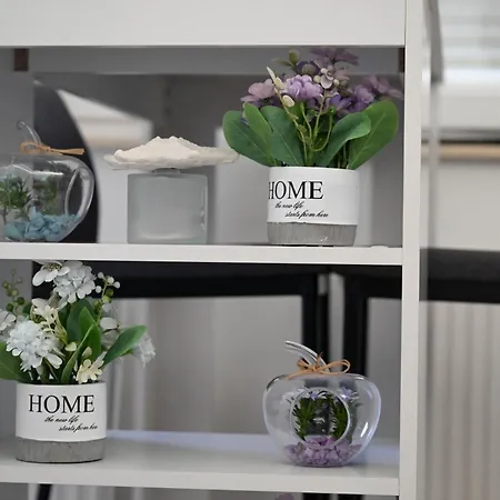 Hanan Waikiki Appartamento